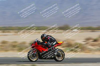 media/Apr-10-2022-SoCal Trackdays (Sun) [[f104b12566]]/Speed Shots Back Straight (930am)/